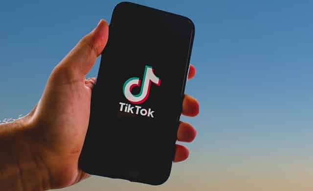 TikTok Marketing for Small Business Owners, White Wings Media